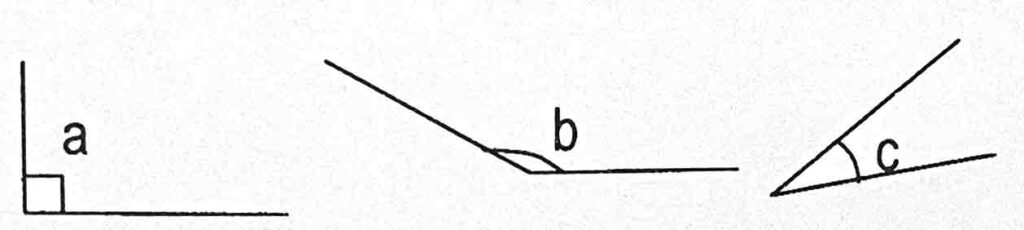 AEIS Singapore P3 Maths