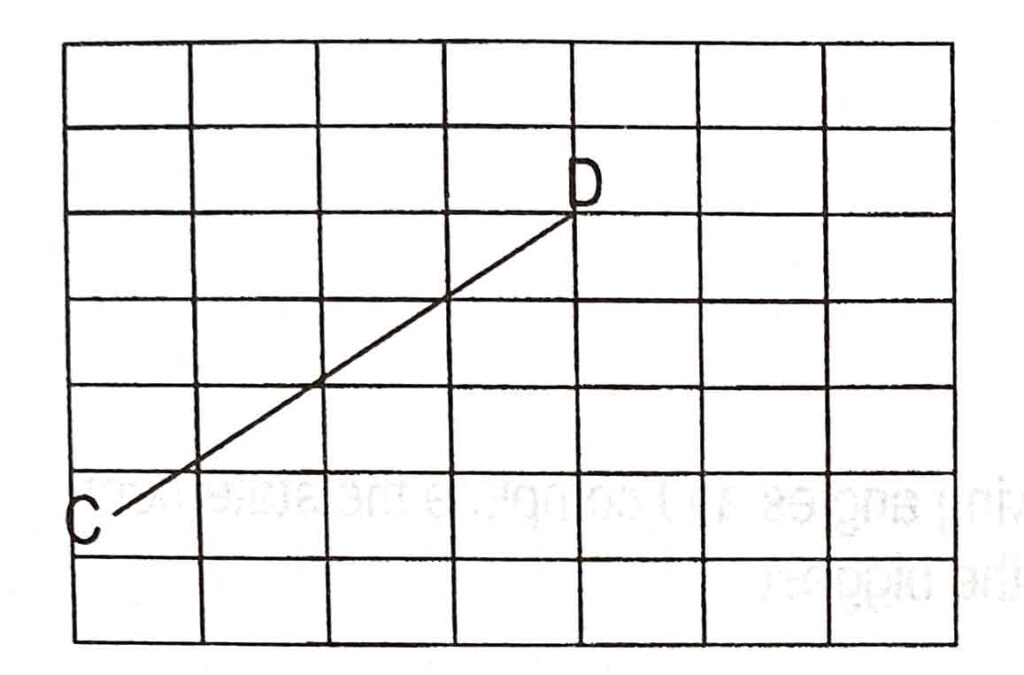 AEIS Singapore P3 Maths