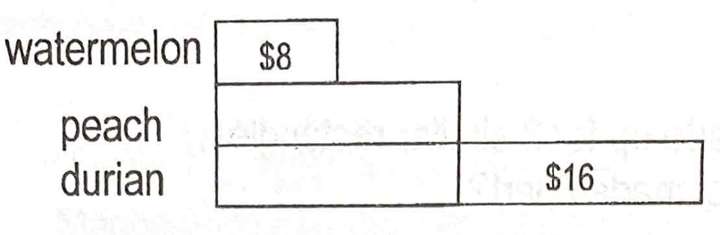 AEIS Singapore P3 Maths Qn 39