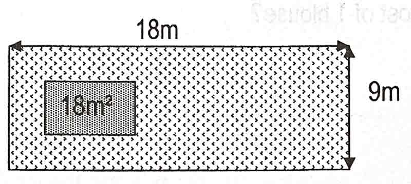 AEIS Singapore P3 Maths